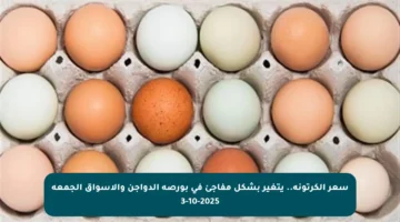 سعر الكرتونة.. يتغير بشكل مفاجئ في بورصة الدواجن والأسواق الجمعة 3-10-2025